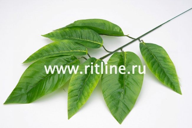 Ветка манго 7л с принтом FITTONE Ветка манго 7л с принтом FITTONE