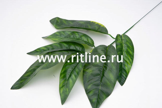 Ветка манго 7л с принтом FITTONE Ветка манго 7л с принтом FITTONE