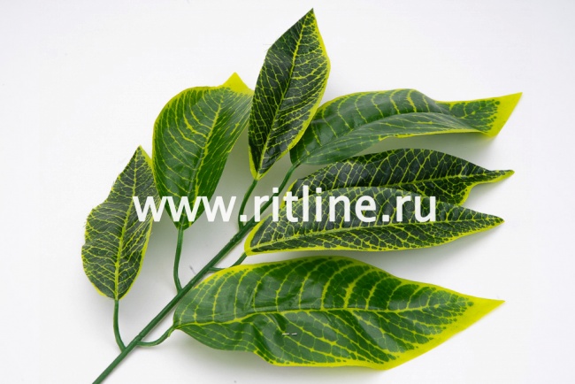 Ветка манго 7л с принтом FITTONE Ветка манго 7л с принтом FITTONE