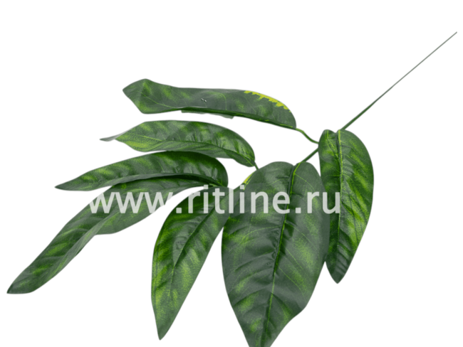 Ветка манго, 7л с принтом FITTONE