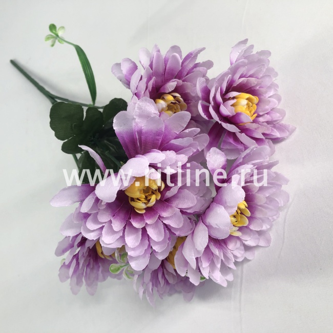Букет хризантем "FITTONE", 6г, выс. 42см, цв.микс