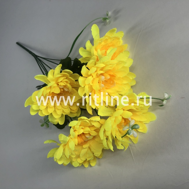 Букет хризантем "FITTONE", 6г, выс. 42см, цв.микс