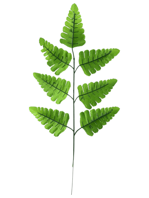 Лист папоротника, 7л FITTONE