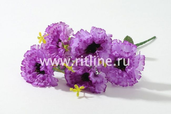 Букет гвоздик "Fittone", 6г, выс.32, цв.микс