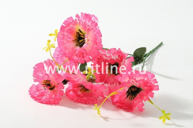 Букет гвоздик "Fittone", 6г, выс.32, цв.микс