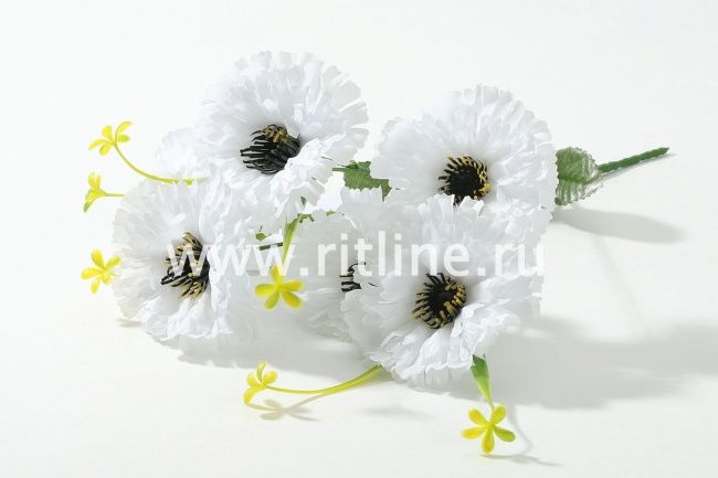 Букет гвоздик "Fittone", 6г, выс.32, цв.микс