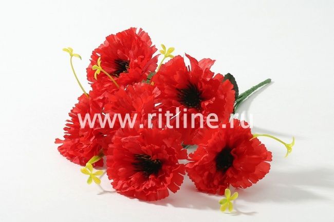 Букет гвоздик "Fittone", 6г, выс.32, цв.микс