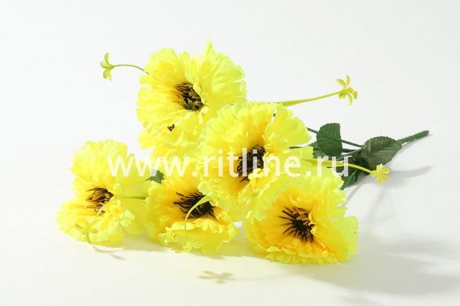 Букет гвоздик "Fittone", 6г, выс.32, цв.микс