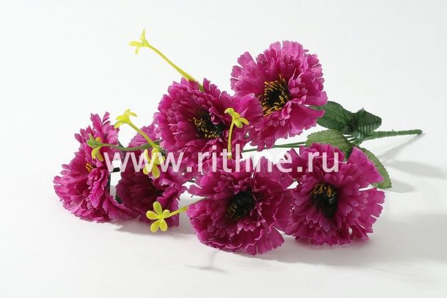 Букет гвоздик "Fittone", 6г, выс.32, цв.микс