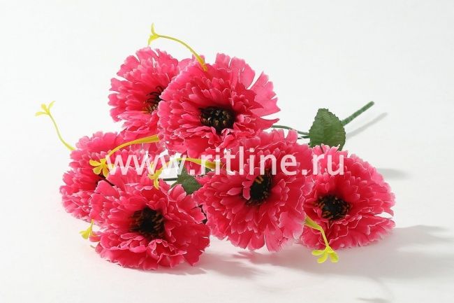 Букет гвоздик "Fittone", 6г, выс.32, цв.микс