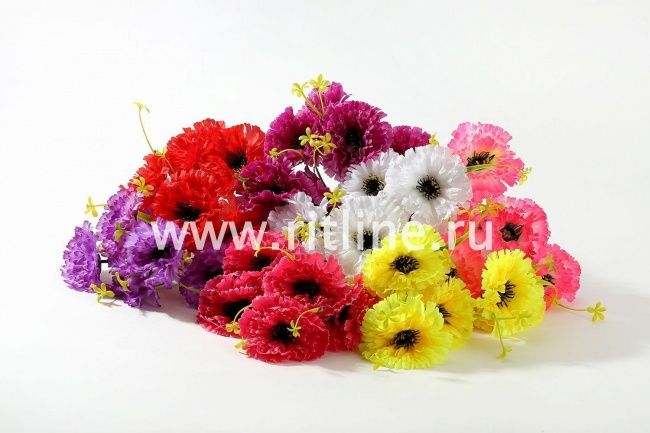 Букет гвоздик "Fittone", 6г, выс.32, цв.микс