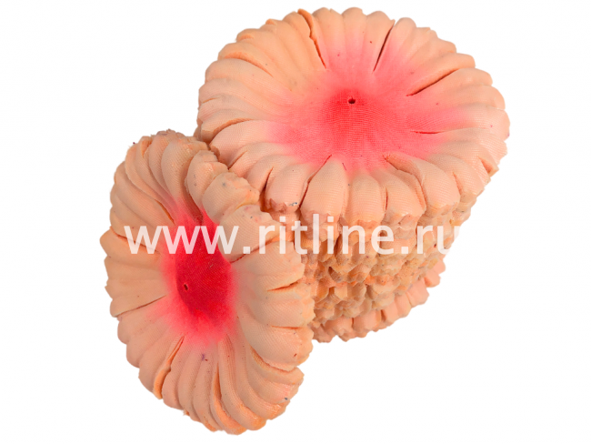 Высечка гвоздики, шелк, диам. 11 см, цв. персиковый FITTONE Высечка гвоздики, шелк, диам. 11 см, цв. персиковый FITTONE