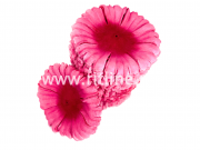 Высечка гвоздики, шелк, диам. 11 см, цв. розовый FITTONE Высечка гвоздики, шелк, диам. 11 см, цв. розовый FITTONE