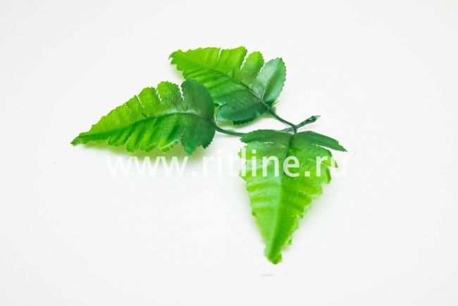 Листик папоротника, разм.9,5см, цв.зеленый "FITTONE"