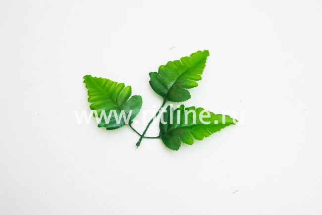 Листик папоротника, разм.9,5см, цв.зеленый "FITTONE"