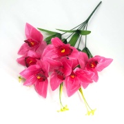 Букет лилий "FITTONE", 7г., выс. 55см, цв.микс