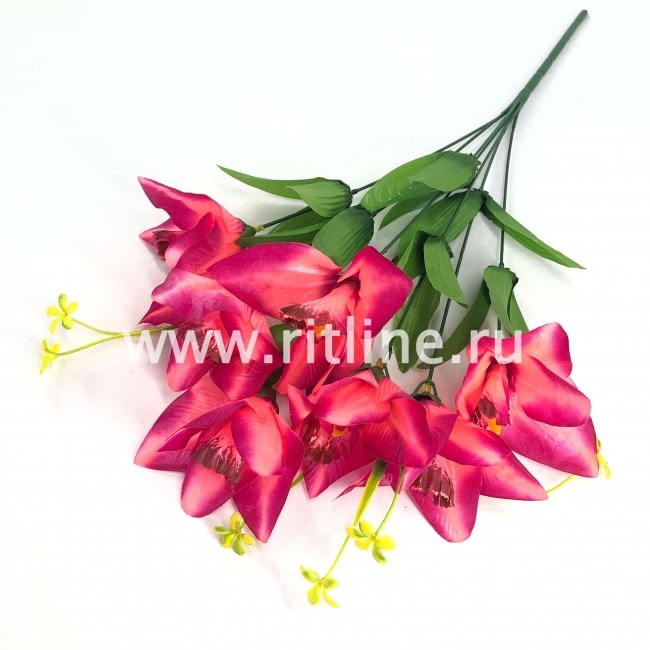 Букет лилий "FITTONE", 7г., выс. 55см, цв.микс