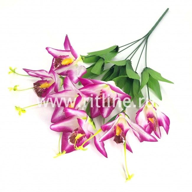 Букет лилий "FITTONE", 7г., выс. 55см, цв.микс