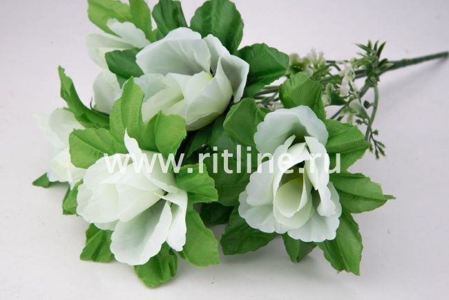 Букет бутонов роз "Fittone", 6г, выс.32, цв.микс