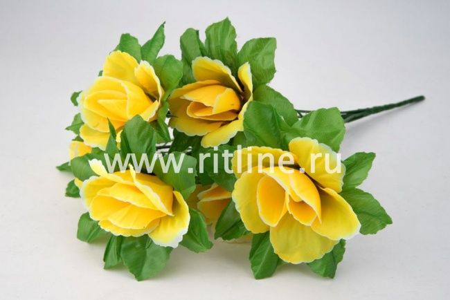 Букет бутонов роз "Fittone", 6г, выс.32, цв.микс