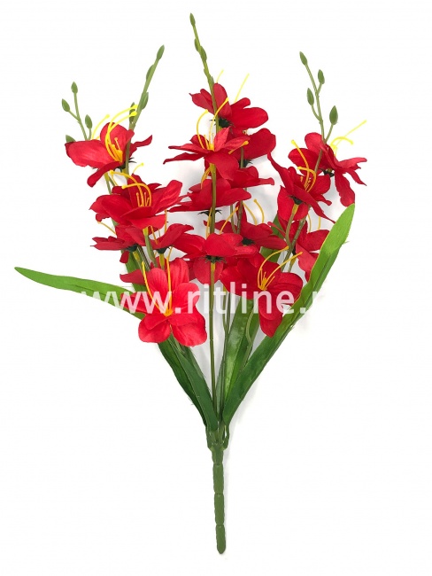 Букет гладиолусов "FITTONE", 5 ветвей, 20г, выс. 44см, атлас, цв.микс Букет гладиолусов "FITTONE", 5 ветвей, 20г, выс. 44см, атлас, цв.микс