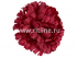 Высечка гвоздики, шелк, диам. 11 см, цв. бордовый FITTONE