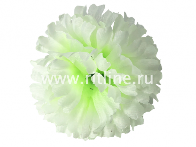 Высечка гвоздики, шелк, диам. 11 см, цв. бело-зеленый FITTONE Высечка гвоздики, шелк, диам. 11 см, цв. бело-зеленый FITTONE