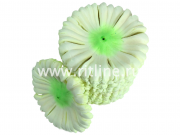 Высечка гвоздики, шелк, диам. 11 см, цв. бело-зеленый FITTONE