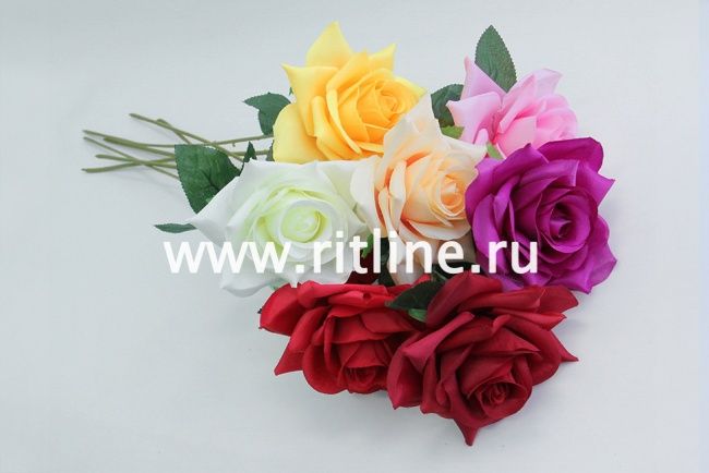 Роза одиночная, выс. 62 см, диам. 12 см, плотный атлас, цв. микс FITTONE