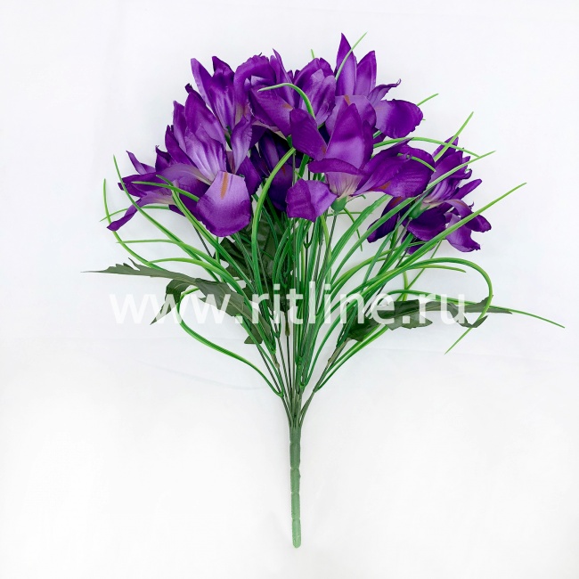 Букет ирисов с травкой "FITTONE", 11г., выс. 50см, атлас, цв.микс Букет ирисов с травкой "FITTONE", 11г., выс. 50см, атлас, цв.микс