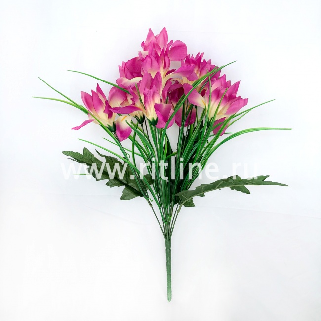 Букет ирисов с травкой "FITTONE", 11г., выс. 50см, атлас, цв.микс Букет ирисов с травкой "FITTONE", 11г., выс. 50см, атлас, цв.микс