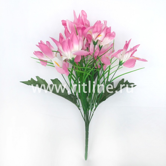 Букет ирисов с травкой "FITTONE", 11г., выс. 50см, атлас, цв.микс Букет ирисов с травкой "FITTONE", 11г., выс. 50см, атлас, цв.микс