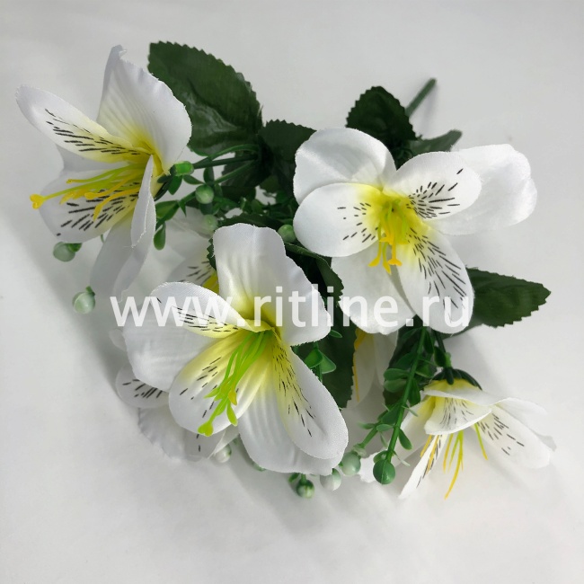 Букет орхидей, 7г., выс. 30 см, цв. микс FITTONE