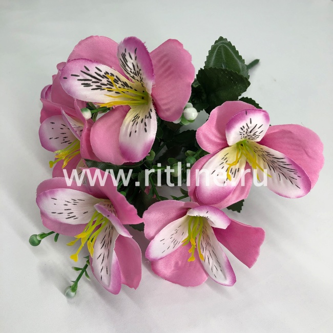 Букет орхидей, 7г., выс. 30 см, цв. микс FITTONE