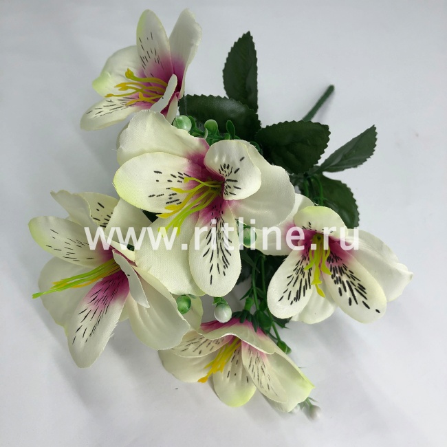 Букет орхидей, 7г., выс. 30 см, цв. микс FITTONE