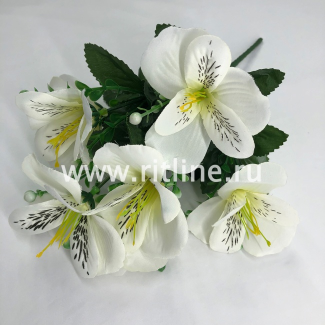 Букет орхидей, 7г., выс. 30 см, цв. микс FITTONE