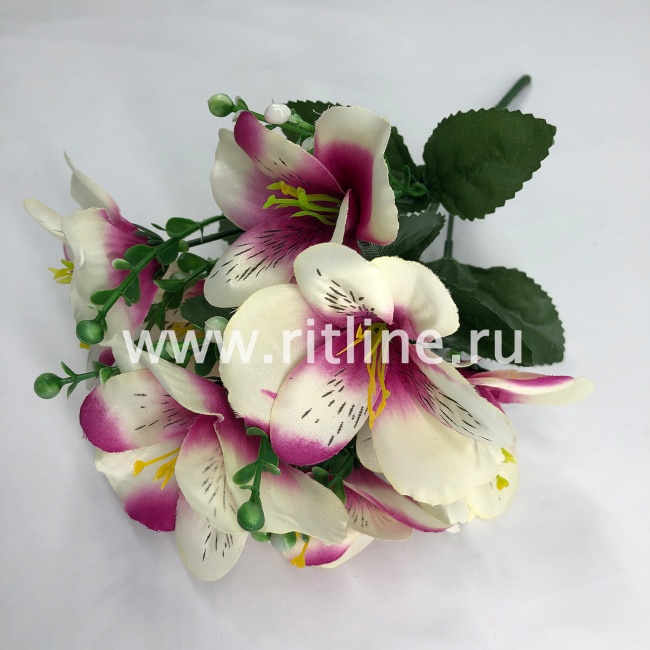 Букет орхидей, 7г., выс. 30 см, цв. микс FITTONE