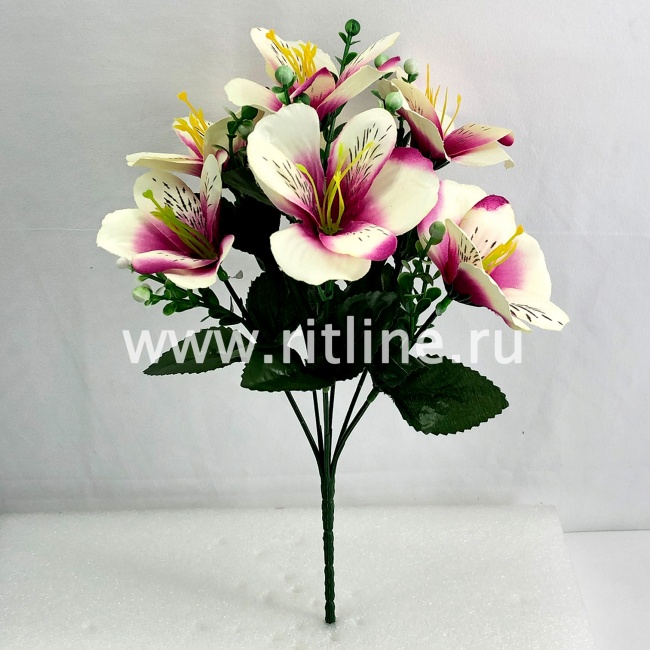 Букет орхидей, 7г., выс. 30 см, цв. микс FITTONE