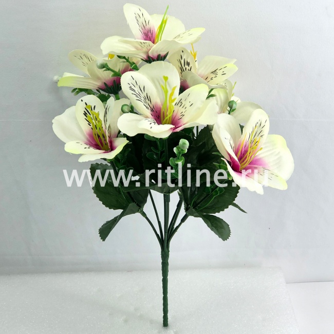 Букет орхидей, 7г., выс. 30 см, цв. микс FITTONE