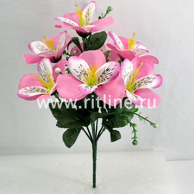 Букет орхидей, 7г., выс. 30 см, цв. микс FITTONE