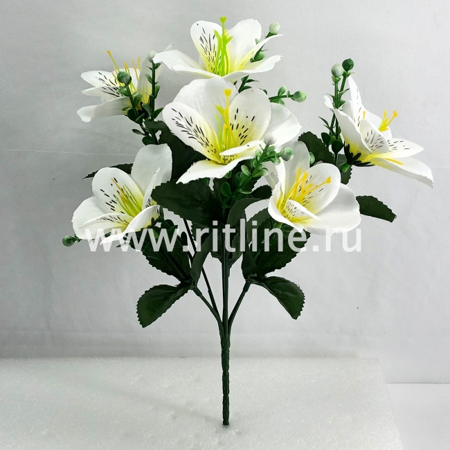 Букет орхидей, 7г., выс. 30 см, цв. микс FITTONE