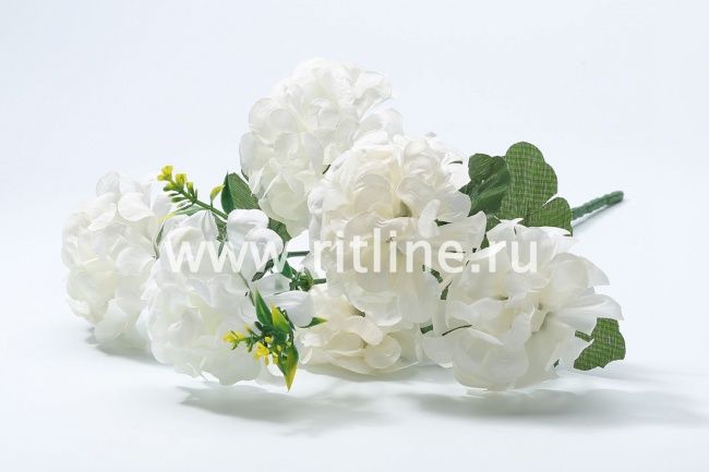 Букет хризантем "Fittone", 6г, выс.33, цв.микс