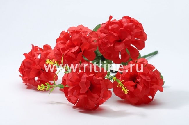 Букет хризантем "Fittone", 6г, выс.33, цв.микс