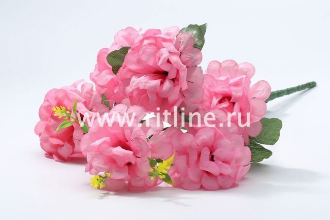 Букет хризантем "Fittone", 6г, выс.33, цв.микс