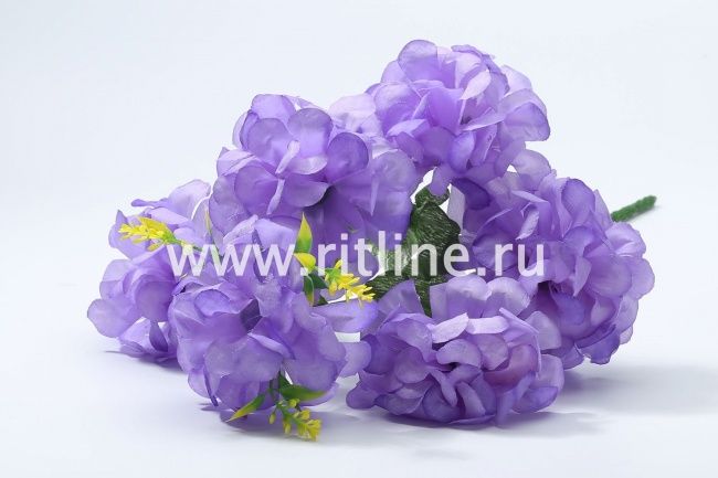 Букет хризантем "Fittone", 6г, выс.33, цв.микс