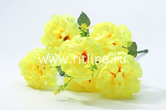 Букет хризантем "Fittone", 6г, выс.33, цв.микс