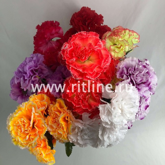 Букет гвоздик "FITTONE", 7г., выс. 58см, цв.микс