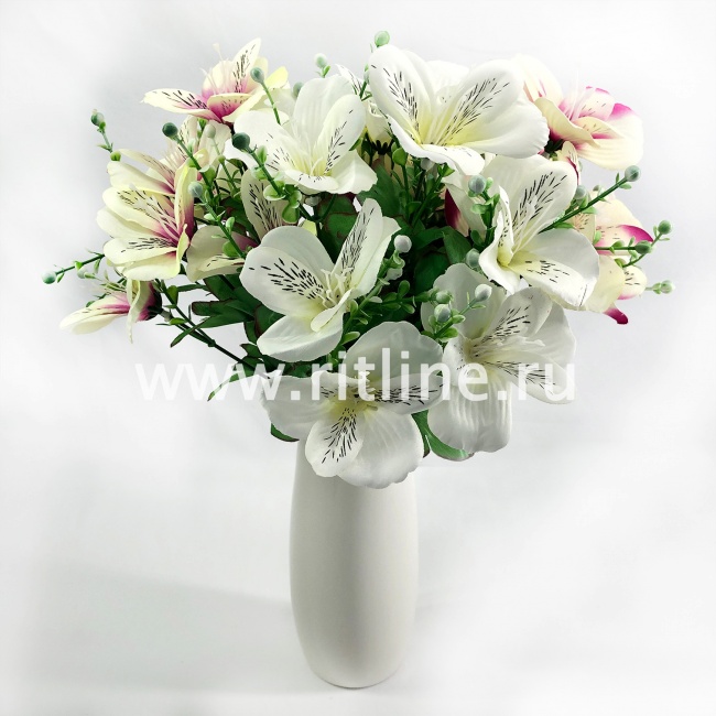 Букет орхидей, 10г., выс. 35 см, цв. микс FITTONE