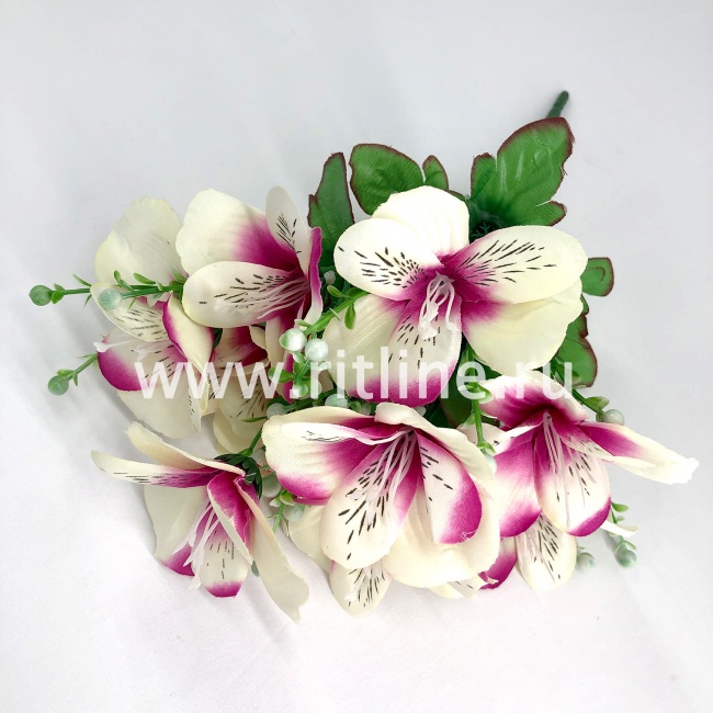 Букет орхидей, 10г., выс. 35 см, цв. микс FITTONE