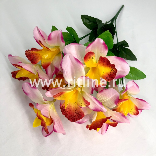 Букет орхидей "FITTONE", 8г., выс. 46см, цв.микс